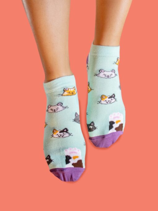 medias gatos aguamarina